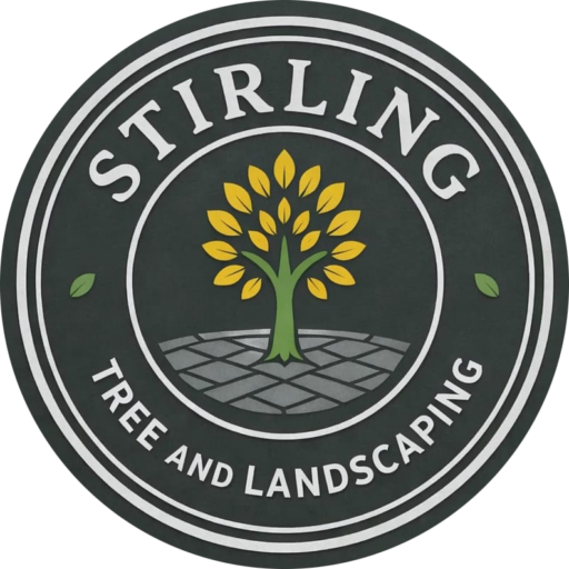 Stirling Tree and Landscapes