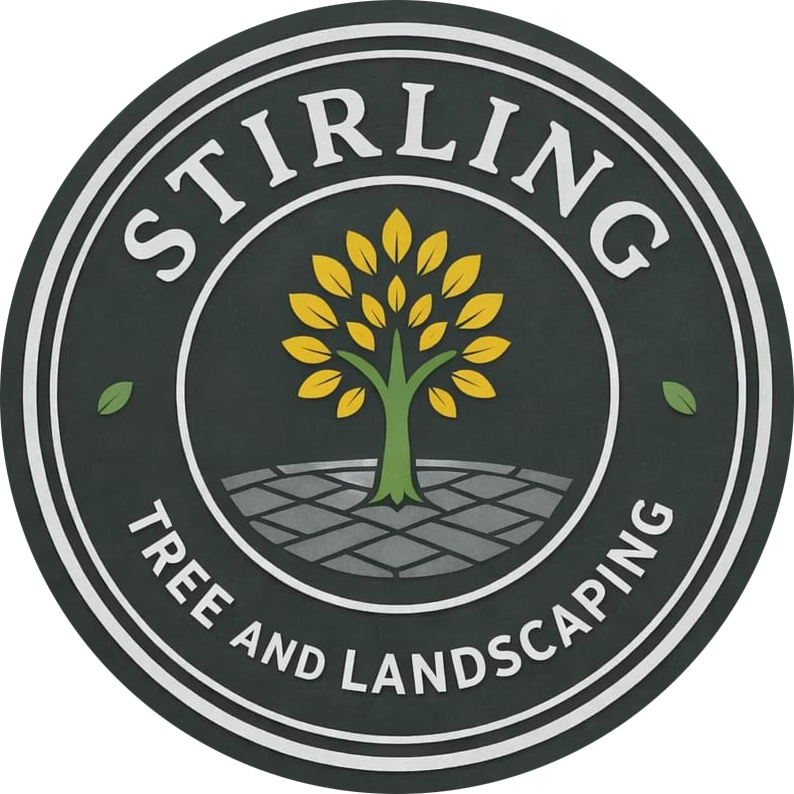 Stirling Tree and Landscapes
